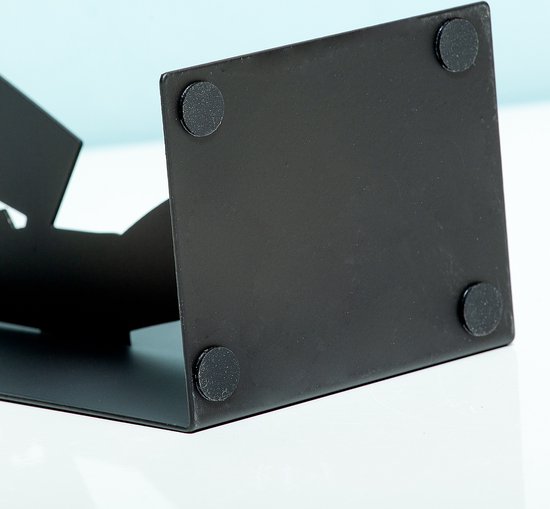 Balvi boekensteun man The reader