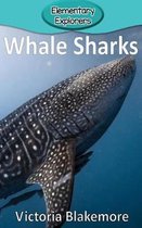 Elementary Explorers- Whale Sharks