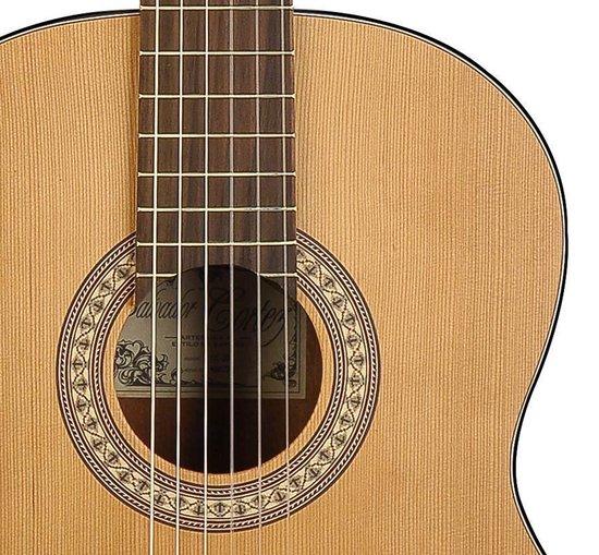 Salvador Cortez CC-20 klassieke gitaar met massief ceder bovenblad | bol.com