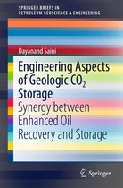SpringerBriefs in Petroleum Geoscience & Engineering -  Engineering Aspects of Geologic CO2 Storage
