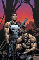 Wolverine/punisher