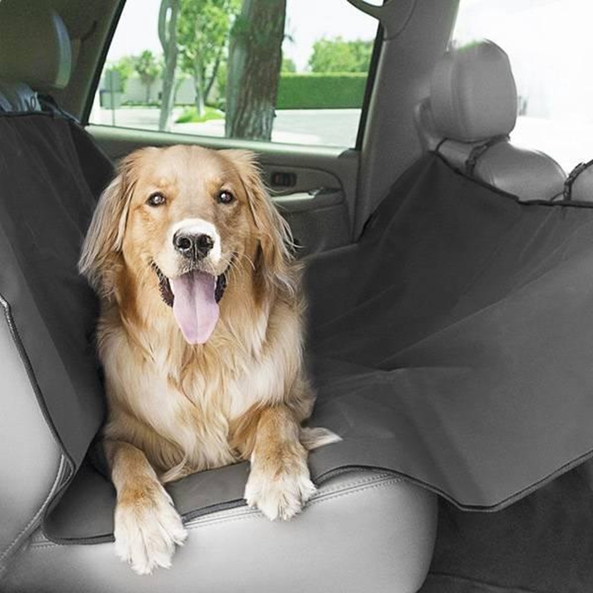 Couverture de voiture pour chien - Couverture pour chien - Couverture pour  chien pour
