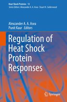 Heat Shock Proteins 13 - Regulation of Heat Shock Protein Responses
