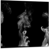 Dibond - Rookwalmen (zwart/wit) - 100x100cm Foto op Aluminium (Met Ophangsysteem)