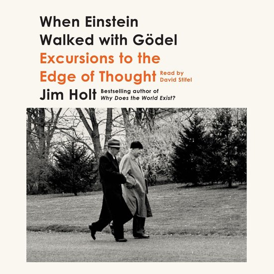 When Einstein Walked with Gödel - cover