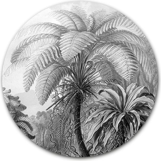 Wandcirkel Filicinae (Zwart Wit) op hout - WallCatcher | Multiplex 40 cm rond | Meesterwerk van Ernst Haeckel | Houten muurcirkel Oude Meesters kunstwerken