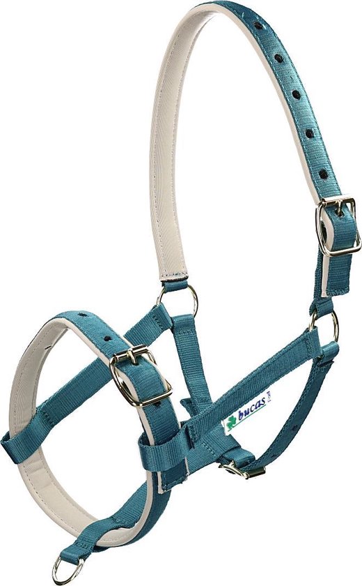 Turquoise halster met witte voering en zilverkleurige gespen.