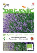 Buzzy Zaden Lavendel Biologisch