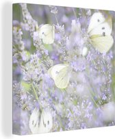 Canvas Schilderijen - Koolwitje vlinders op lavendel - 20x20 cm - Wanddecoratie