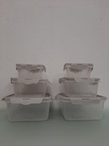 Zes vershoudbakjes