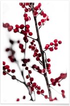 JUNIQE - Poster Red Berries 1 -40x60 /Rood & Wit