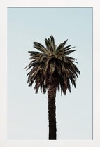 JUNIQE - Poster met houten lijst Palmtree -13x18 /Bruin & Groen