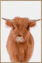 JUNIQE - Poster met kunststof lijst Young Highland Cow -60x90 /Bruin