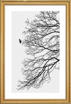 JUNIQE - Poster met houten lijst Winter Bird -13x18 /Grijs & Wit