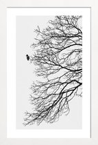 JUNIQE - Poster in houten lijst Winter Bird -40x60 /Grijs & Wit