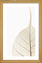 JUNIQE - Poster met houten lijst Translucent Leaf -60x90 /Wit