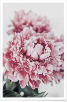 JUNIQE - Poster Peony in Focus -20x30 /Grijs & Roze