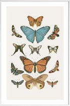 JUNIQE - Poster in kunststof lijst Vlinders -40x60 /Grijs & Ivoor