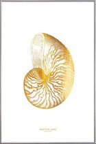 JUNIQE - Poster met kunststof lijst Nautilus Shell gouden -30x45 /Goud
