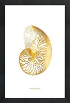 JUNIQE - Poster met houten lijst Nautilus Shell gouden -40x60 /Goud &