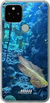 6F hoesje - geschikt voor Google Pixel 5 -  Transparant TPU Case - Coral Reef #ffffff