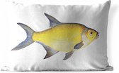 Buitenkussens - Tuin - Gele brasem vis op een witte achtergrond - 60x40 cm