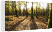 Canvas Schilderij Zonnestralen schijnen door de bossen van het Nationaal park New Forest - 80x40 cm - Wanddecoratie