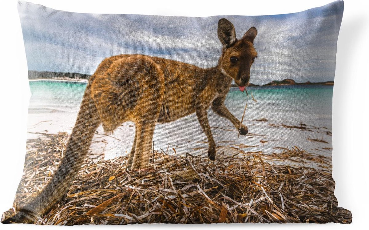 Havoc voorjaar Kip Buitenkussens - Tuin - Een kangoeroe op het strand waar hij ook aan het  eten is - 50x30 cm | bol.com