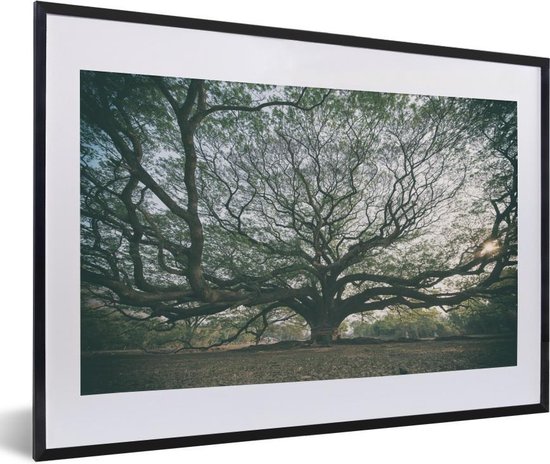 Foto in lijst - Takken van een boom fotolijst 60x40 - Poster in lijst | bol.com