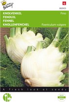 Knolvenkel Fino - Foeniculum vulgare
