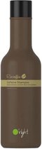 O'Right Caffeine shampoo 100ml - Normale shampoo vrouwen - Voor Alle haartypes