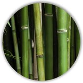 Wandcirkel Bamboe