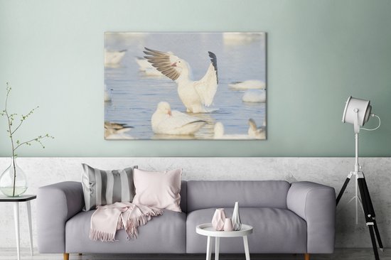 Oie des neiges vole hors de l'eau Toile 140x90 cm - Tirage photo sur toile (Décoration murale salon / chambre)