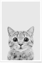 JUNIQE - Poster Kitten Classic -30x45 /Wit & Zwart