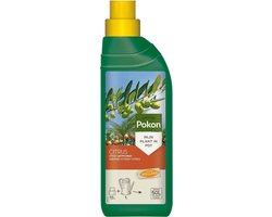 Pokon Citrus Planten Voeding - 250ml - Voor Citrus en Mediterrane planten