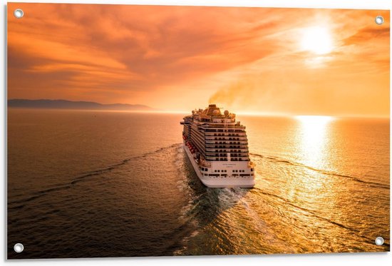 Tuinposter – Wegvarend Cruisesschip met Zon - 90x60cm Foto op Tuinposter  (wanddecoratie voor buiten en binnen)