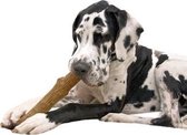 Petstages durable stick - large 20 cm - 1 stuks