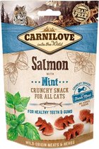 Carnilove crunchy snack zalm / munt - 50 gr - 1 stuks