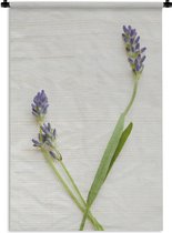 Wandkleed De lavendel - Studio shot van lavendel Wandkleed katoen 60x90 cm - Wandtapijt met foto