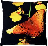 Decolenti – Brown Butterfly – Sierkussenhoes – Zwart - Oranje - Geel - Groen - 45cm x 45cm