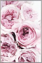 JUNIQE - Poster met kunststof lijst Roze rozen foto -60x90 /Roze