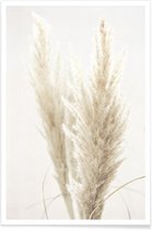 JUNIQE - Poster Pampas riet -30x45 /Ivoor & Wit