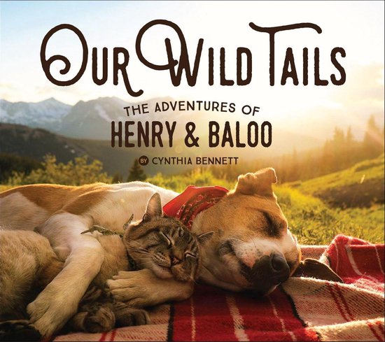 Our Wild Tails - cover