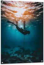 Tuinposter – Duiker onder Water Zwemmend - 80x120cm Foto op Tuinposter  (wanddecoratie voor buiten en binnen)