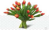 Verse bloemen boeket TULPEN (cadeau voor haar) - Rood / Geel - 50 per bos