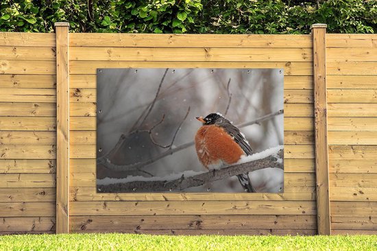 Affiche de jardin Robin sur une branche enneigée 180x120 cm - Toile de jardin / Toile d'extérieur / Peintures d'extérieur (décoration de jardin) XXL / Groot format!