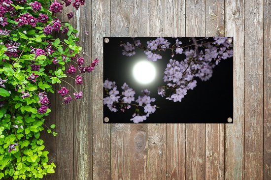 Affiche de jardin La pleine lune parmi les fleurs 60x40 cm - petit - Toile de jardin / Toile d'extérieur / Peintures d'extérieur (décoration de jardin)