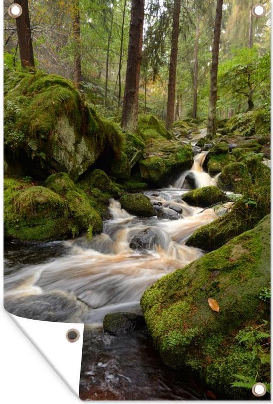 Stream in the woods of the Peak District English National Park Garden Poster 120x180 cm - Toile de jardin / Toile d'extérieur / Peintures d'extérieur (décoration de jardin) XXL / Groot format!
