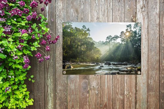Le soleil brille sur une rivière dans une forêt malaisienne Affiche de jardin 90x60 cm - Toile de jardin / Toile d'extérieur / Peintures pour l'extérieur (décoration de jardin)
