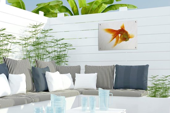 Affiche de jardin poisson rouge devant un fond blanc toile en vrac 40x30 cm - petit - Toile de jardin / Toile d'extérieur / Peintures pour l'extérieur (décoration de jardin)